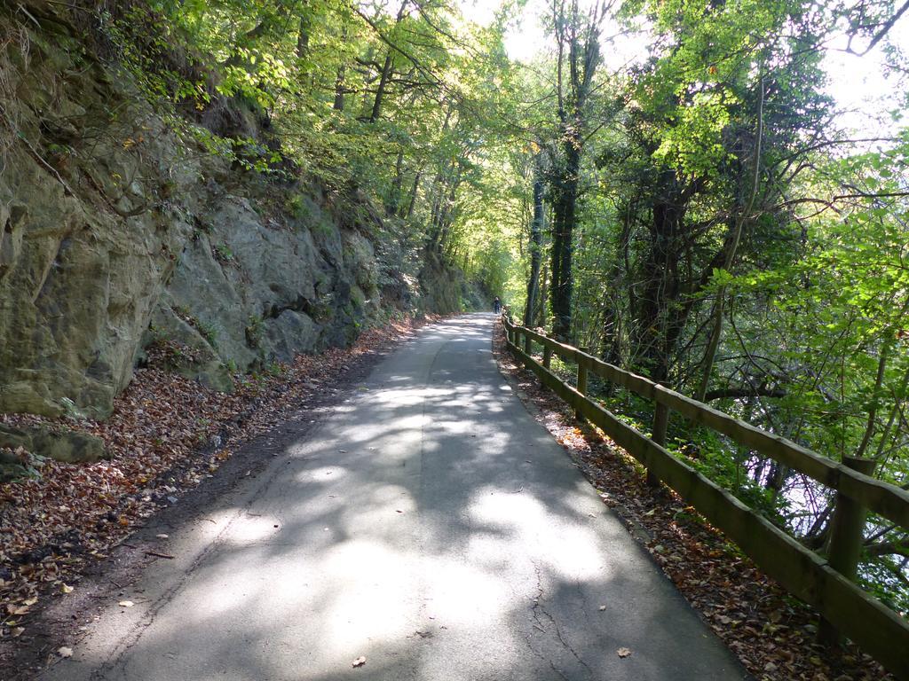 Fischbachtal Holiday home *