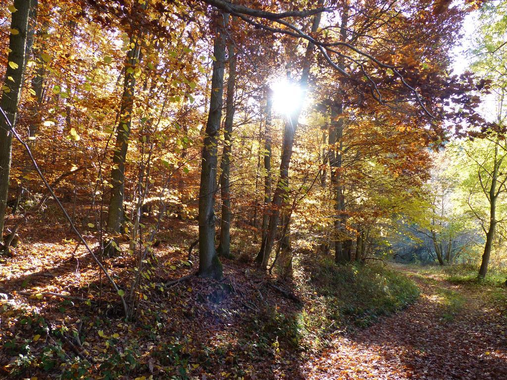 Holiday home Fischbachtal